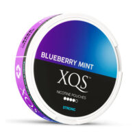 XQS Blueberry Mint 4