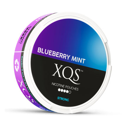 XQS Blueberry Mint 4
